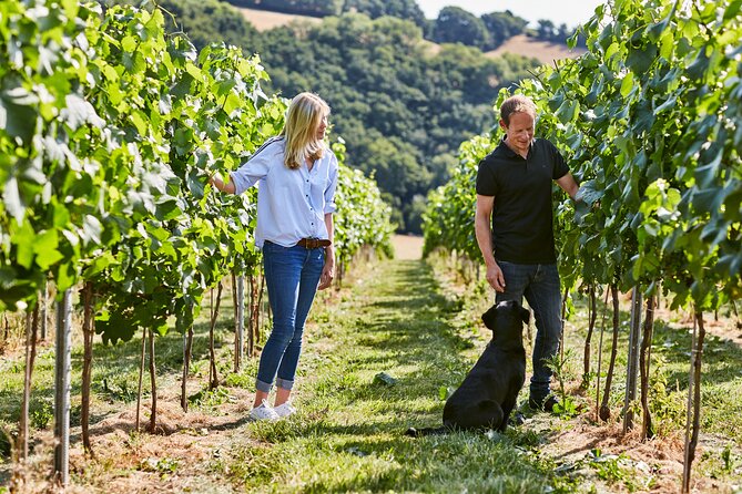 1.5-Hour Swanaford Vineyard Tour And Tasting Experience - Key highlights you will feel during the tour