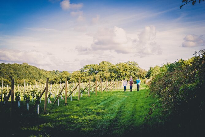 1.5-Hour Swanaford Vineyard Tour And Tasting Experience - Time, meeting point, and how the schedule really works