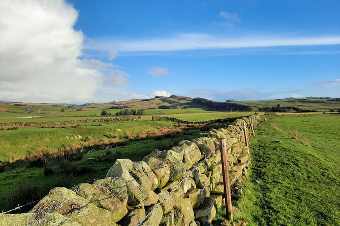 2 Hour Guided Tour of Hadrian's Wall - Views worth the effort, moorland air, and photo time
