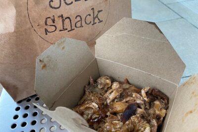 3-Hour Guided Manchester Food Tour with Lunch