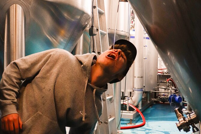 3 Locks Brewing Company Tour and Tasting Experience in Camden - Key Takeaways Before You Go