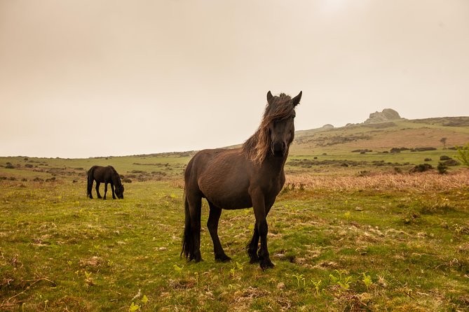 5-Day Devon and Cornwall Small-Group Tour from London - Getting from London to Devon without the whole day disappearing
