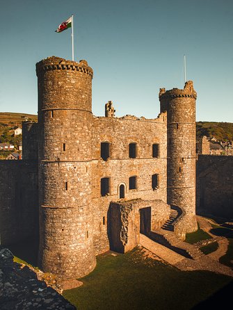 5-Day Discover Wales Small-Group Tour from London - Day 3: Cardigan Bay harbors, dolphin chances, Dinefwr Estate, and Laugharne’s writer’s trail