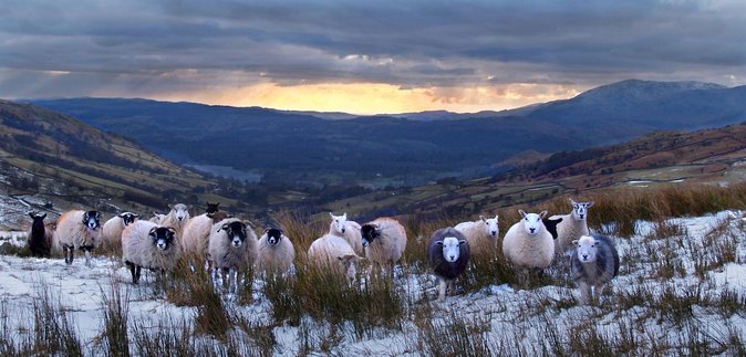 6 hour Private tour of the Lake District. - Stop 1: Bowness-on-Windermere, viewpoints, and the photo-friendly opening hour