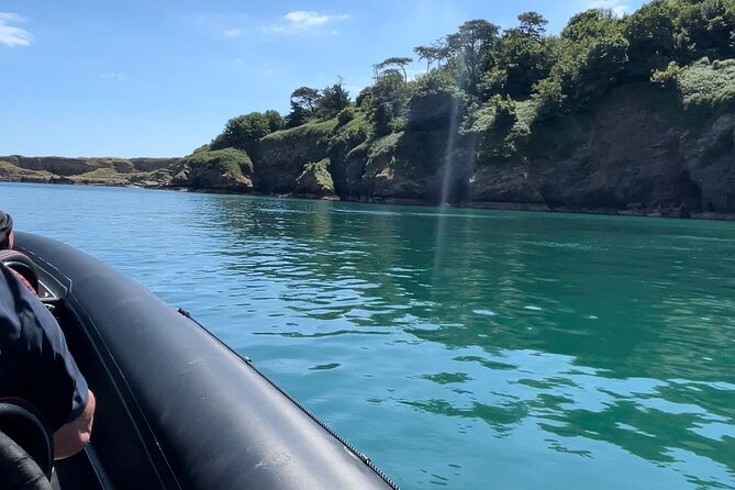 90 Minute Coastal Explorer in Torquay - Stop 3: Thatcher Rock for seabirds and seals