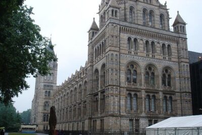 A Day at the Museum – Natural History Museum London