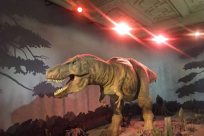 A Day at the Museum - Natural History Museum London - What to Wear and Bring for a More Comfortable Visit