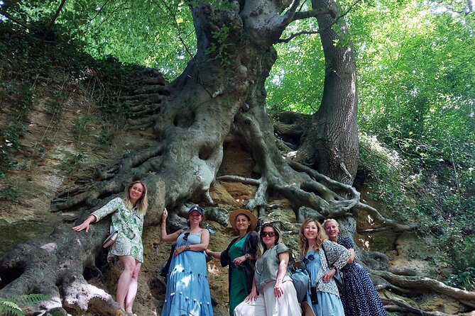 A Tour of Glastonbury, Guided by the Trees. - Lanes, fields, and the prominent trees that shape the views