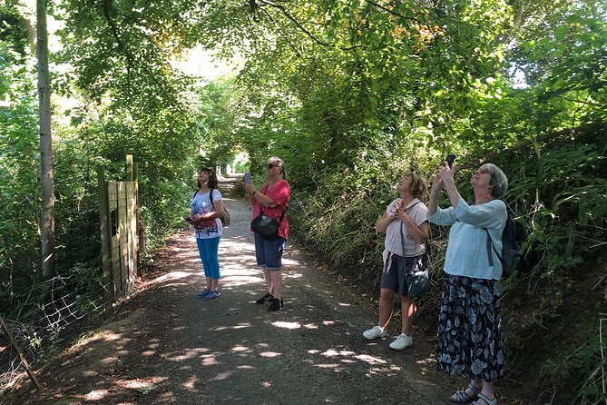 A Tour of Glastonbury, Guided by the Trees. - Poetry recitals and gentle folk music, timed to the trees