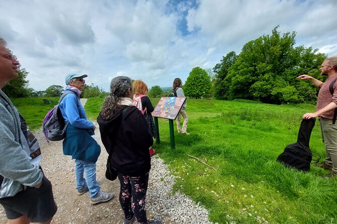 A Tour of Glastonbury, Guided by the Trees. - Optional Glastonbury Tor climb and Matt’s Avalon horizon talk