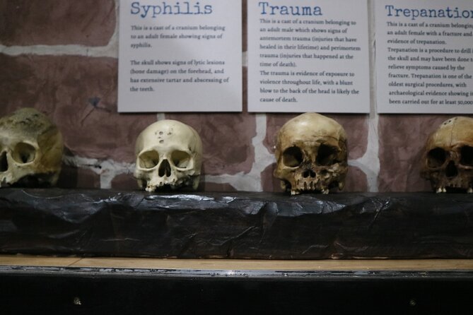 Admission Ticket to Sick To Death in Chester - Price and value, what $11.05 gets you in Chester