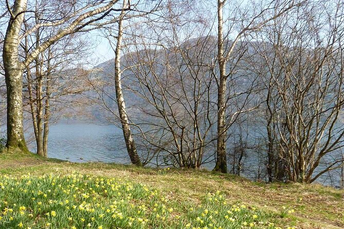 Ambleside, Keswick and Ullswater: A Lake District Self-Guided Driving Tour - Rydal to Rydal Mount: Poetry Country With Practical Roadside Stops
