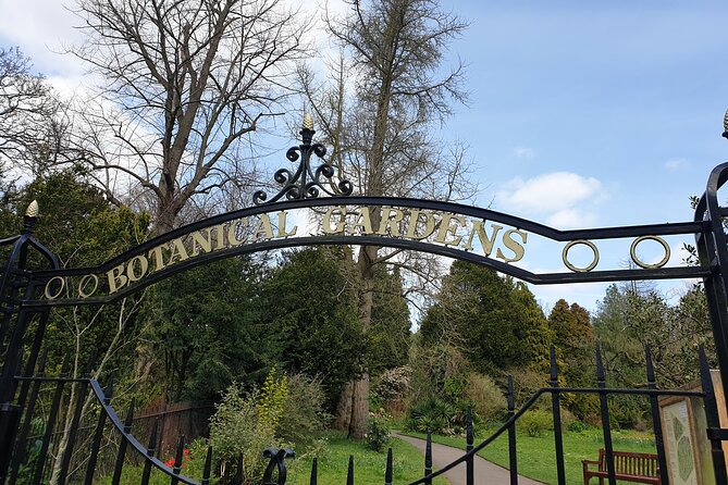 Bath - (4 hours) Extended Walking Tour - Blue Badge guide - The Royal Crescent and The Circus: photo time with meaning attached