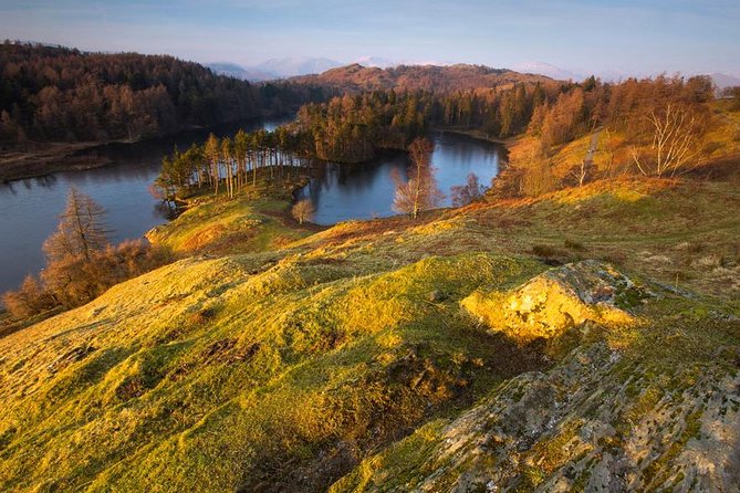 Beatrix Potter's Half Day Lake District Tour Including Lake Cruise - Timing, group size, and comfort: how the tour actually feels