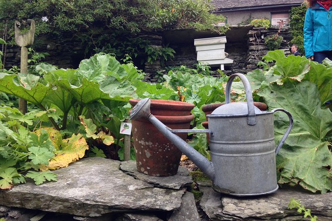 Beatrix Potter's Half Day Lake District Tour Including Lake Cruise - What’s included, what isn’t, and how to judge the value