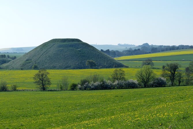 Bespoke private tours of Stonehenge and Avebury by car with local guide - Wiltshire Museum and Old Sarum, where your visit gets context