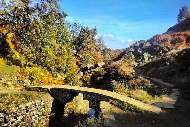 Bronte Country and Yorkshire Dales Private Day Trip from York - Top Withens photo stop: moorland views with Bronte vibes