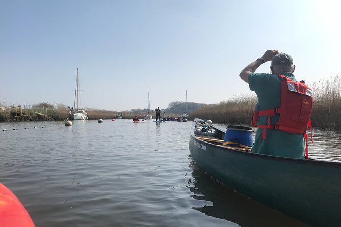 Canoe Paddle Tour from Totnes - Photos and Wildlife on the Dart: Seals, Scenery, and a Camera-Friendly Pace