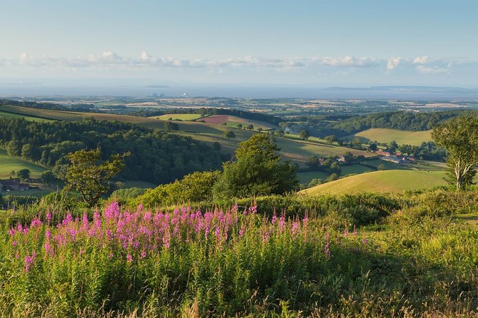 Canterbury & the White Cliffs of Dover Tour (Small-Group) - Deal: the seaside pause with mini-Brighton vibes