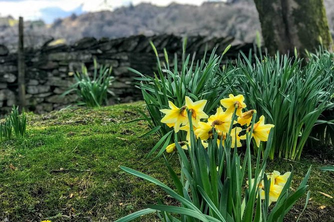 CHESTER: Lake District Adventure - Sightseeing Day Trip Tour - What you get for the price, and what can cost extra