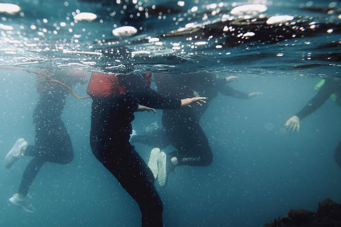 Coasteering - Key Coasteering Highlights You’ll Care About