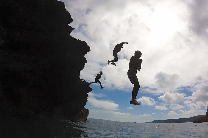 Coasteering Geopark Adventure In Torquay - Wildlife spotting in salt air: when seals join the route