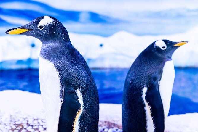 Combo Ticket: Madame Tussauds & SEA LIFE London Aquarium - Madame Tussauds Meets SEA LIFE: A Smart Combo for Indoor London Time