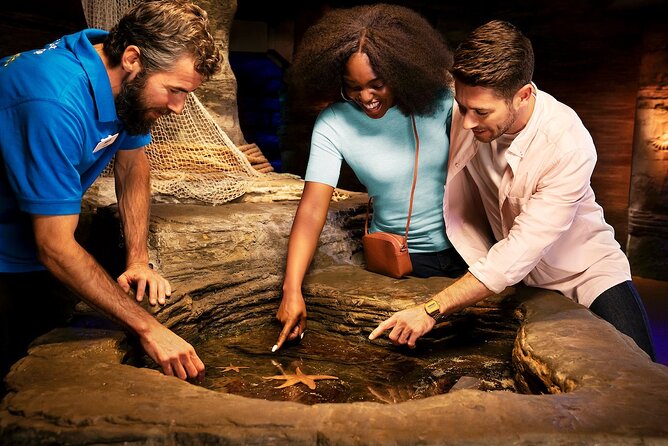 Combo Ticket: Madame Tussauds & SEA LIFE London Aquarium - Price and Value: When $80.13 Makes Sense