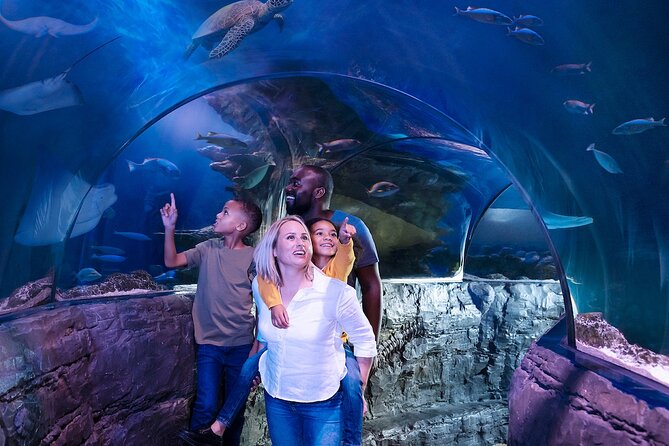 Combo Ticket: Madame Tussauds & SEA LIFE London Aquarium - Planning Tip: Entry Order and Avoiding Common Friction
