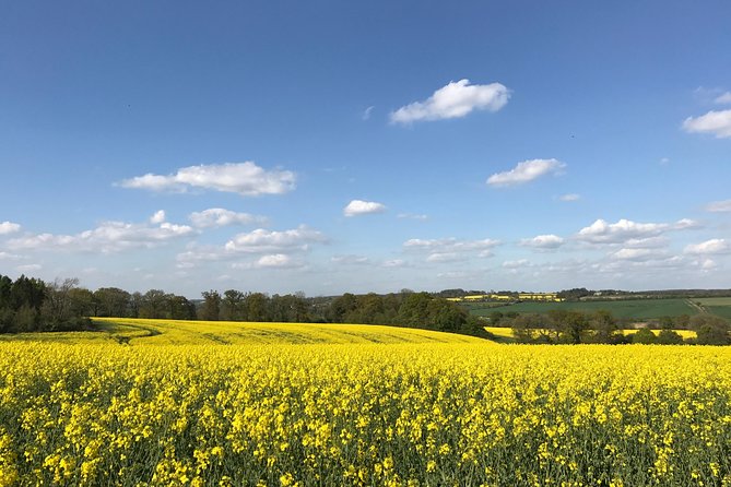Cotswolds Villages Full-Day Small-Group Tour from Oxford - Transport comfort: air-conditioned minivan and real driving practicality