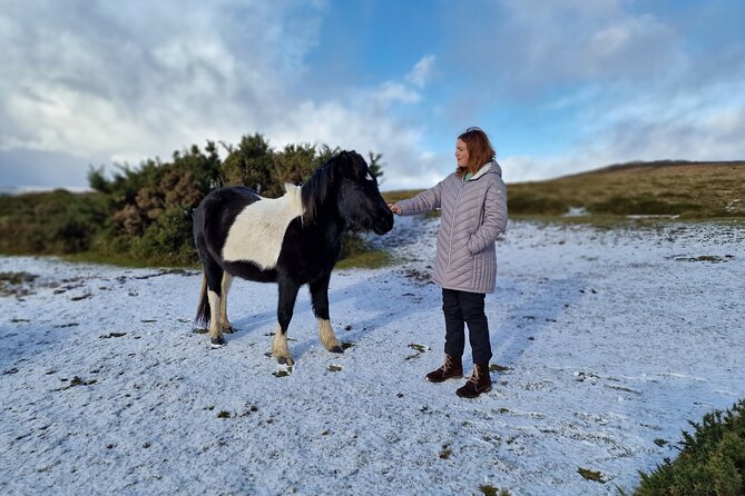 Dartmoor Tour - Key Things I’d Put on Your Radar