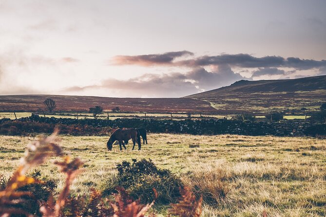 Devon Tour App, Hidden Gems Game and Big Britain Quiz (7 Day Pass) UK - The Best Part: No Waiting, Just Moving, with Human Support Behind the App