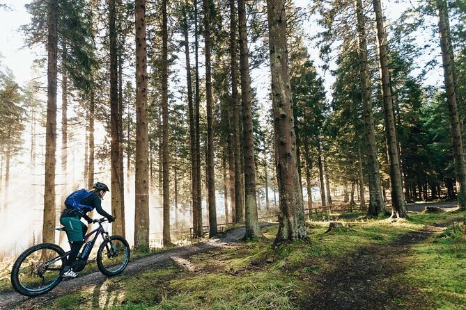 E-bike excursion exploring the Purbecks - Quick hits before you pedal