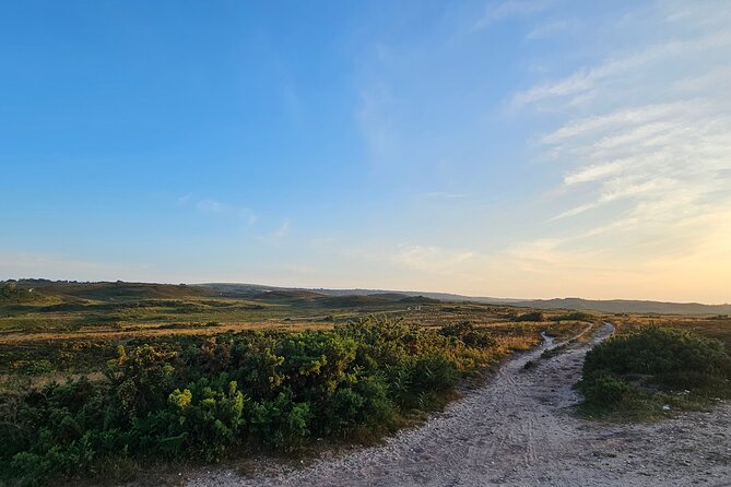 E-Bike excursion to Harrys Rock or Corfé Castle - Studland Beach and Nature Reserve: cycle past, stop for photos