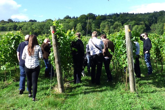 English Wine and Cheese Tour from London - Who This Tour Is For (and Who Might Prefer Another Plan)