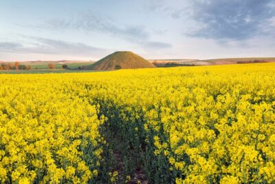 Expert Archaeologist – Private Stonehenge, Bath and Avebury Tour