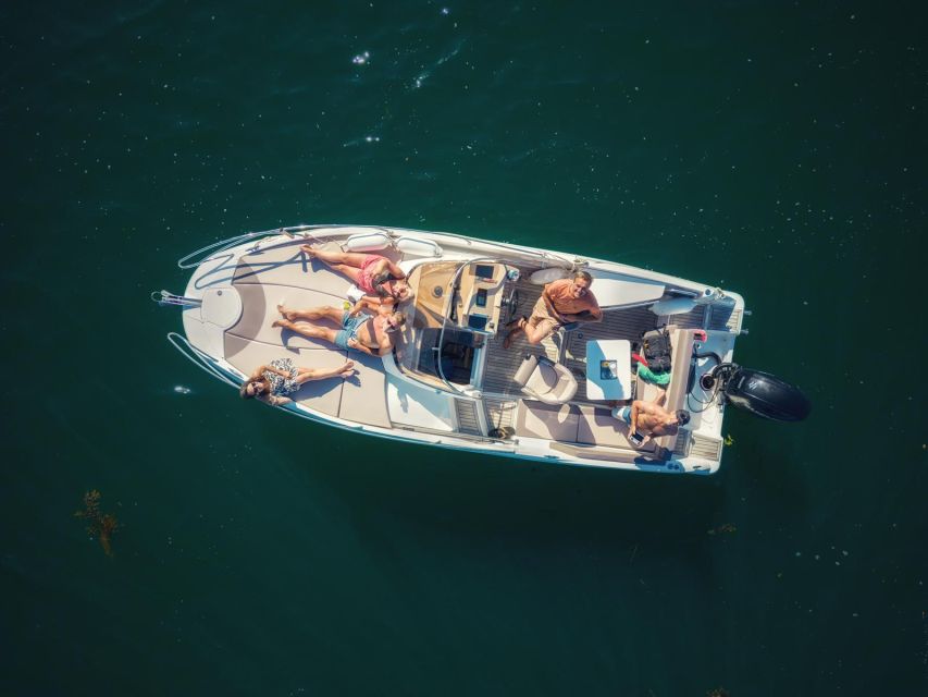 Falmouth Bay, Cornwall: Private Skippered Speed Boat Trip - The big choice: Helford River vs River Fal to Truro and its hidden creeks