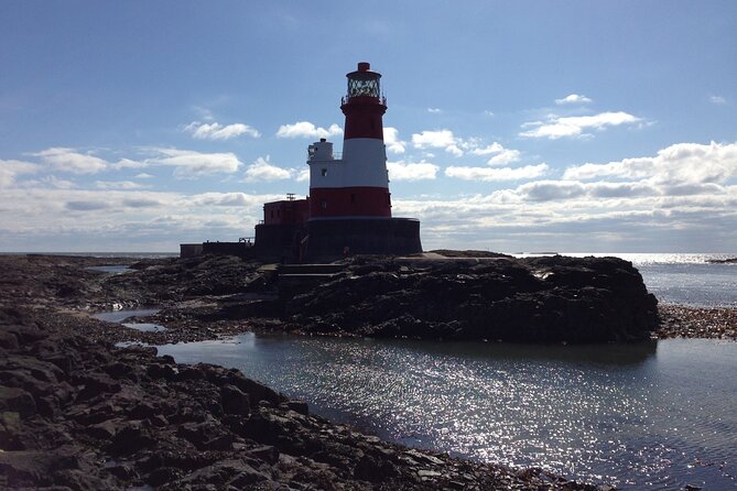 Farne Islands Longstone Lighthouse 2-Hour Trip from Seahouses - Key highlights that make this trip worth it