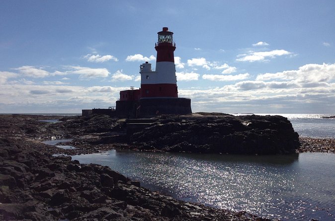 Farne Islands Longstone Lighthouse 2-Hour Trip from Seahouses - Longstone Island walk: seals, cliff birds, and the pace that fits