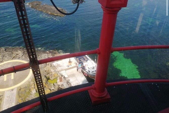 Farne Islands Longstone Lighthouse 2-Hour Trip from Seahouses - The dog rule here is specific, and it’s worth knowing