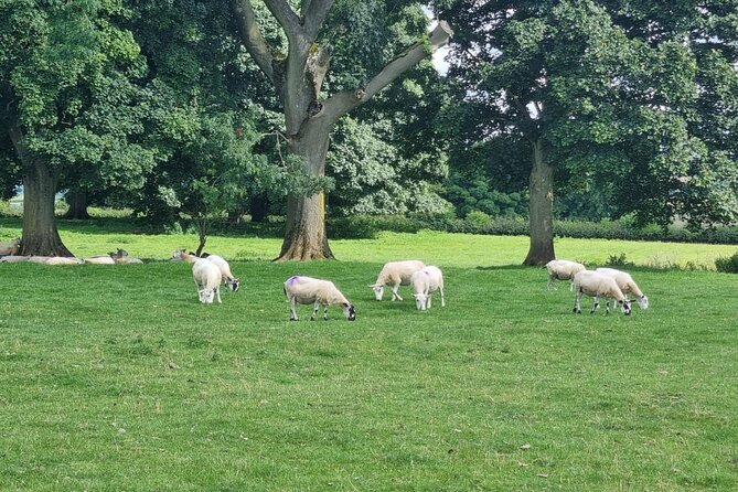 From London: 7 Unmissable Cotswolds Stops Small-Group Tour - Chipping Campden: Real Lunch-Wander Time