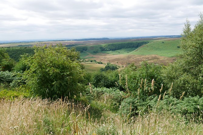 Full-Day Heartbeat Locations Tour from York - Goathland and Aidensfield: The Show’s Core in a Guided Walk