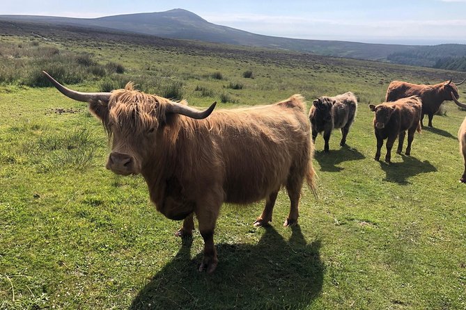 Full day Private Tour of the Isle of Man with experienced qualified driver guide - Ramsey and St John’s: town break, then Tynwald Hill’s ancient role
