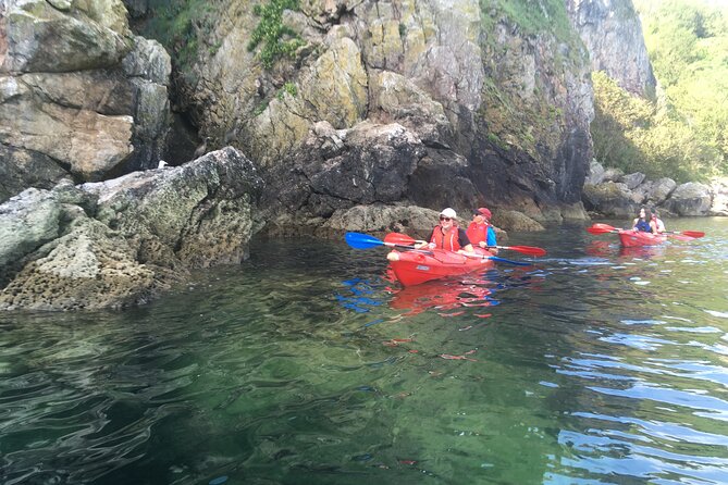 Guided Wildlife and Sea Cave Kayak Safari in English Riviera - How much fitness do you need, and what helps if you have never kayaked