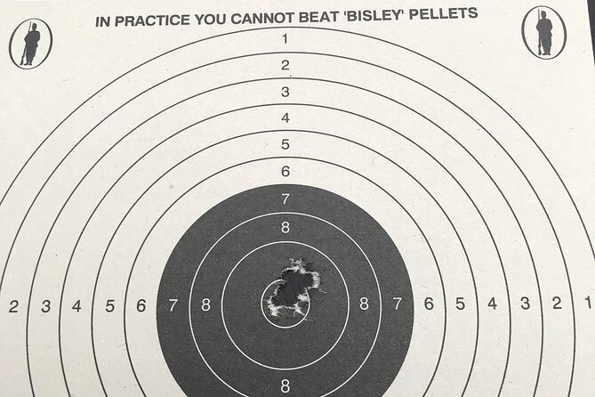 Gun Range Shooting Experience in Newton Abbot - Simway Shooting Simulator: A Big Video Game, with Real Rules
