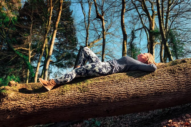 Half-day Forest Bathing and Yoga in Brighton's Woodlands - Key things I’d circle before you book