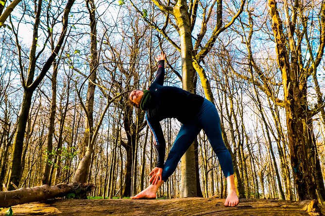 Half-day Forest Bathing and Yoga in Brighton's Woodlands - Weather reality: how you still get a good day in light rain