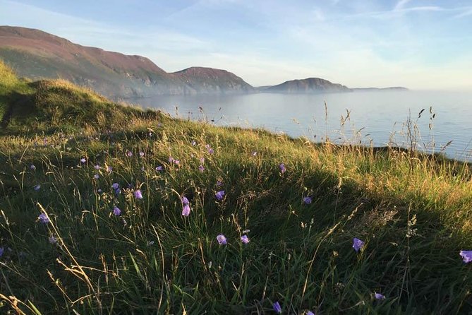 Half day private tours of the Isle of Man with a qualified Driver Guide - What Your Driver Guide Adds Beyond the Gate Ticket