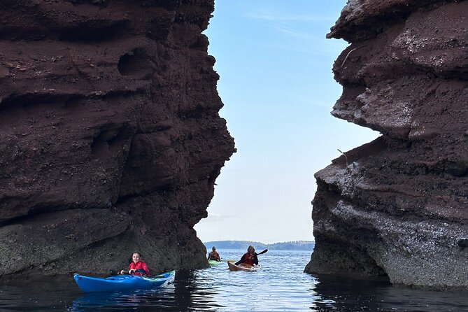 Half Day Sea kayak Guided Tour - Paddling Teignmouth: about 1.5 hours of steady, scenic effort
