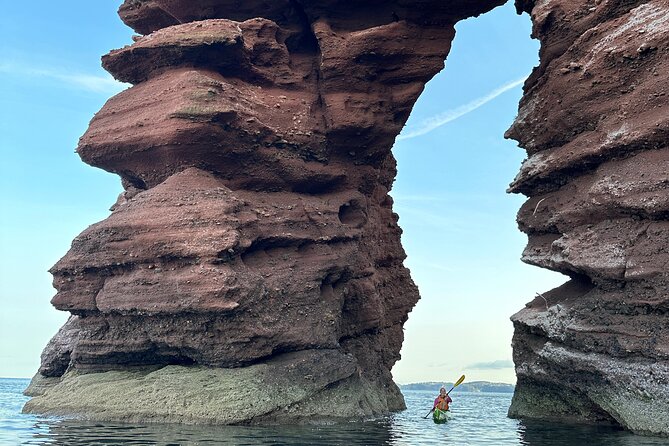 Half Day Sea kayak Guided Tour - Price of $66.06: what you are really paying for